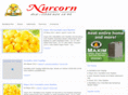 nurcorn.com