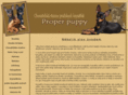 properpuppy.com