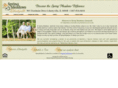 thespringmeadowslibertyville.com