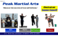 johnstownmartialarts.com