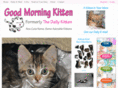 kittenoftheday.com