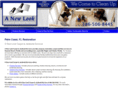 anewlookrestoration.com