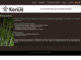 kerius-finance.com