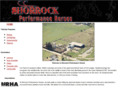 shorrockperformancehorses.com