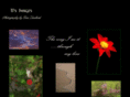 tjsimages.com