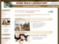 homemoldlaboratory.com