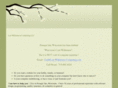 last-wilderness-computing.com