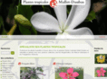 plantes-tropicales.com