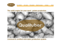 qualituber.com