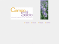 campoalsalcio.com