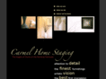 carmelhomestaging.com