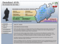 detektei-avs.de