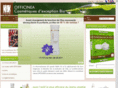officinea.es