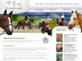 thehorseinsport.com