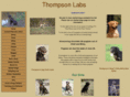 thompsonlabs.com