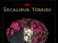 excalibur-yorkies.com