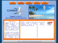 gammafil.com