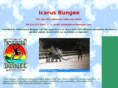 icarusbungee.com