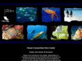 ocean-connections.com