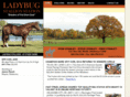 ladybugstallion.com