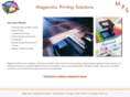 megacolorprinting.com