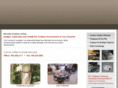 nvoutdoorliving.com