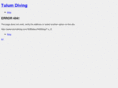 tulumdiving.com