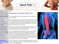 backpainpro.info