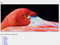 bobwestern.com