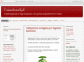consultoraeyf.com