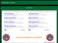 filingbankruptcyincolorado.com
