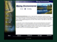 moringenvironmental.com