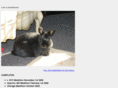 foorunner.com