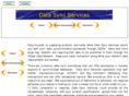 datasyncservice.com