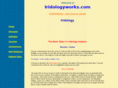iridologyworks.com