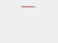 nickel-theater.com