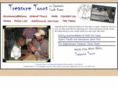 treasuretoursjamaica.com