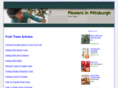 flowersinpittsburgh.com