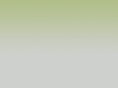 mkt-focus.com
