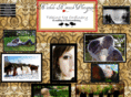 nicholehortick.com