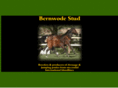 bernwodestud.com