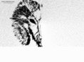 halframdesign.com