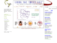 livingthesweetlife.com