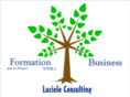 lucieleconsulting.com