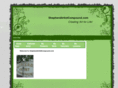 shepherdartistcompound.com