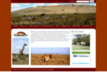 transwestours.com