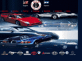 vipmotorsgroup.com