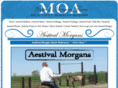 aestivalmorgans.com