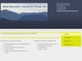bluemountaininsurancegroup.com