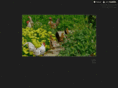 knowhare.com